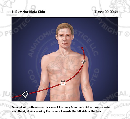 Neurological Anatomy Storyboards